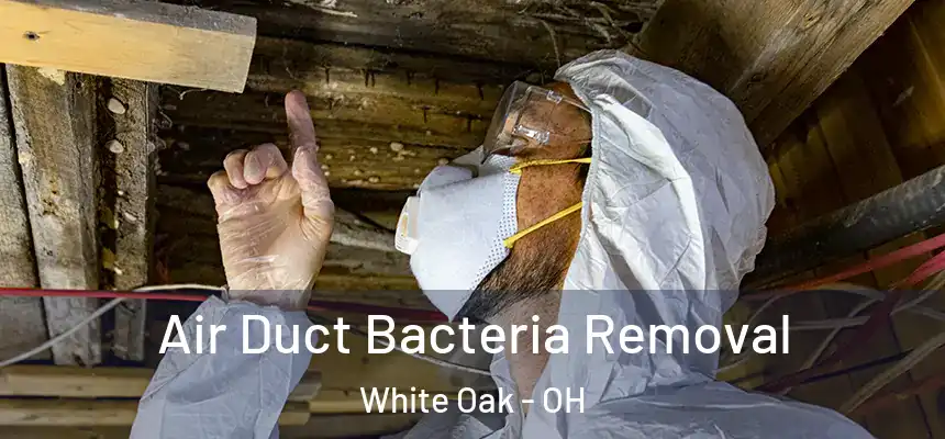 Air Duct Bacteria Removal White Oak - OH