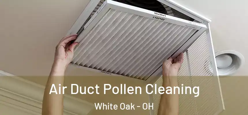  Air Duct Pollen Cleaning White Oak - OH