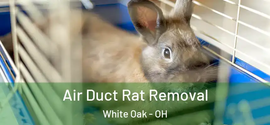Air Duct Rat Removal White Oak - OH