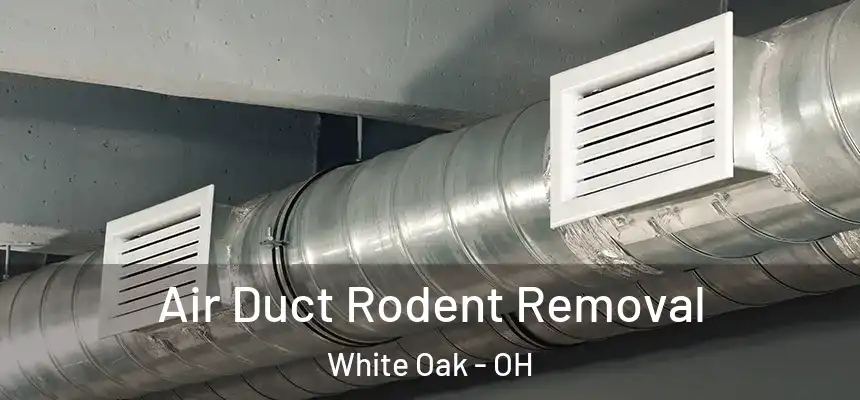  Air Duct Rodent Removal White Oak - OH