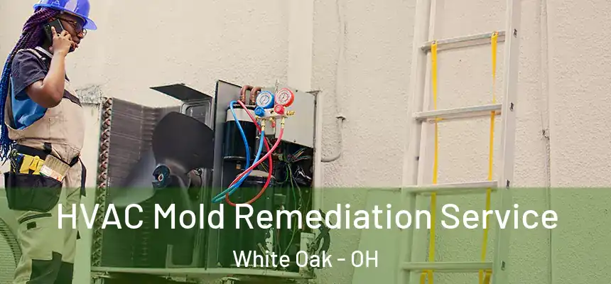  HVAC Mold Remediation Service White Oak - OH