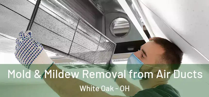  Mold & Mildew Removal from Air Ducts White Oak - OH
