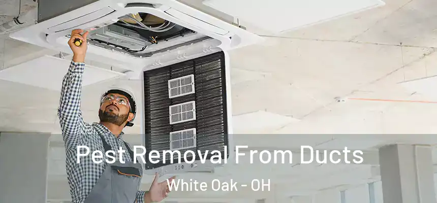 Pest Removal From Ducts White Oak - OH