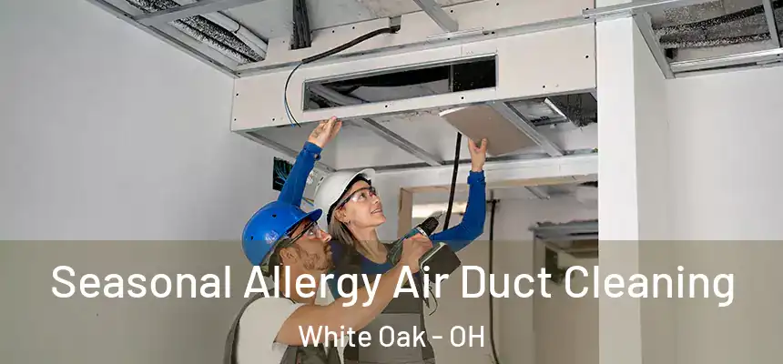 Seasonal Allergy Air Duct Cleaning White Oak - OH