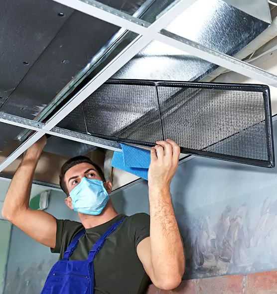About Air Duct Bacteria Removal in White Oak