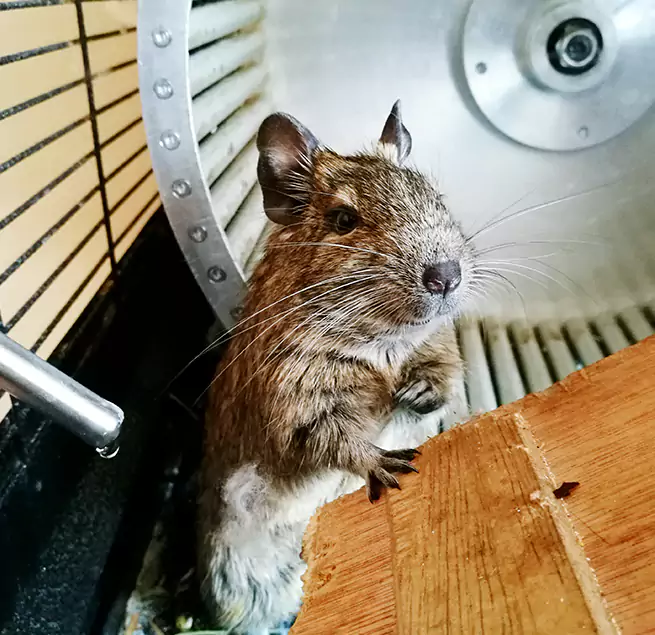 Why Homeowners & Businesses Trust Us White Oak, OH?